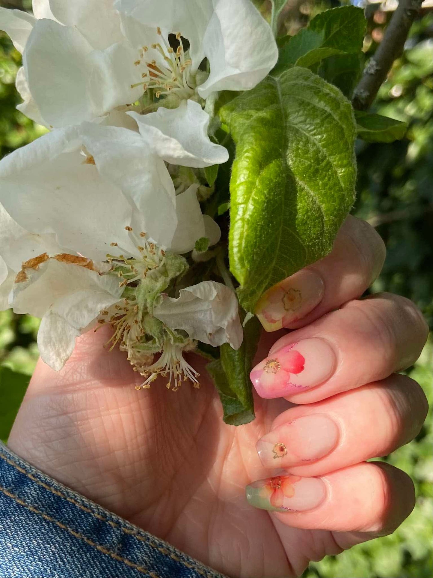 Dewy Bloom - Gel Nail Strips